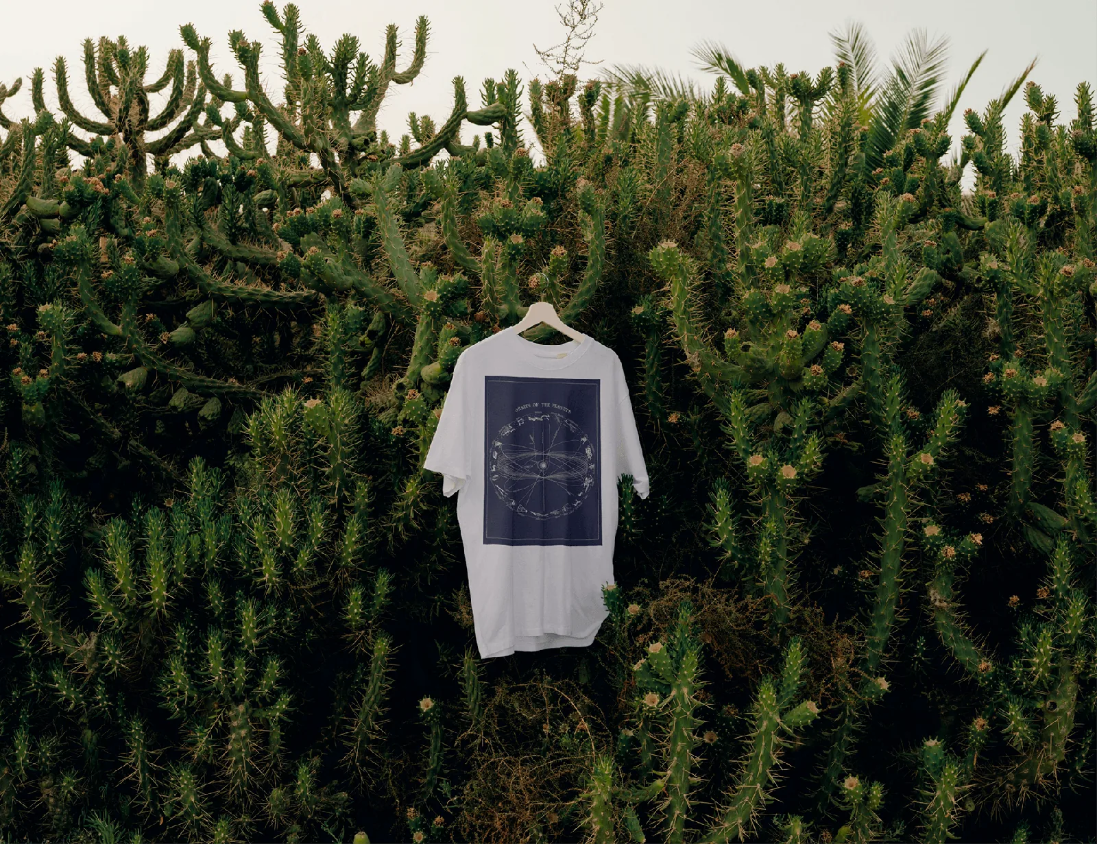 Remera con la marca LIS. Creative Studio