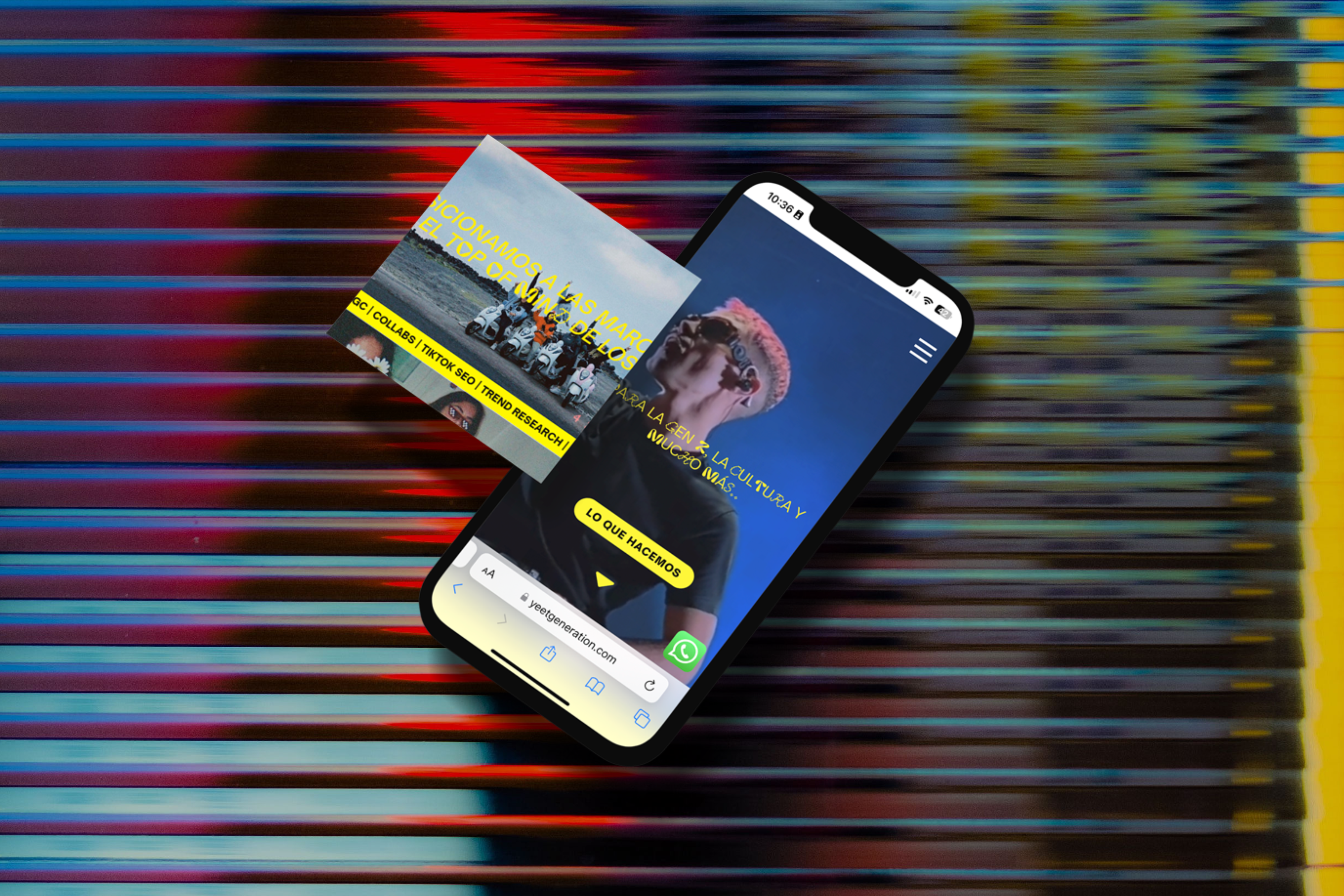 Web design portfolio